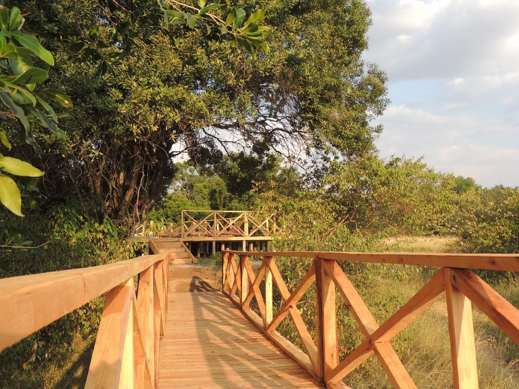 Loyk Mara Luxury Camp Hotell Maasai Mara Exteriör bild