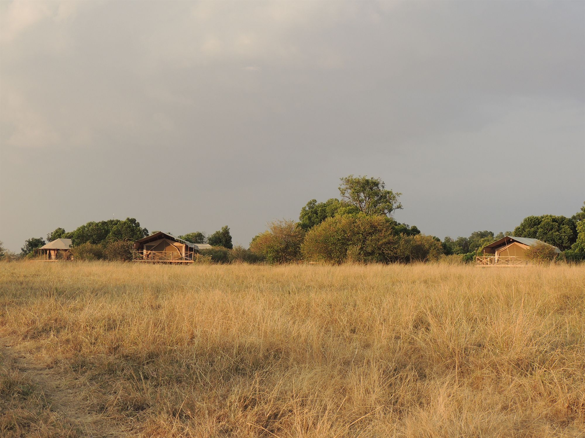 Loyk Mara Luxury Camp Hotell Maasai Mara Exteriör bild
