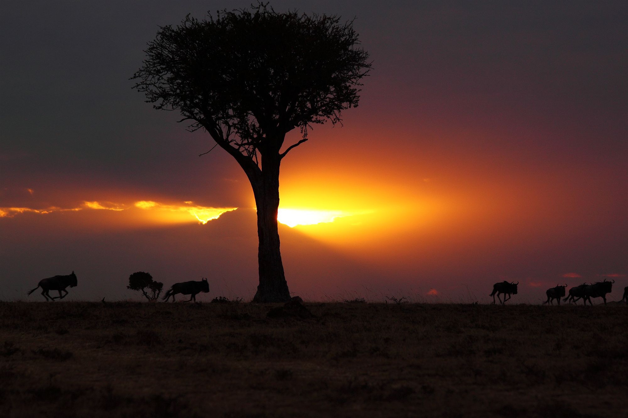 Loyk Mara Luxury Camp Hotell Maasai Mara Exteriör bild