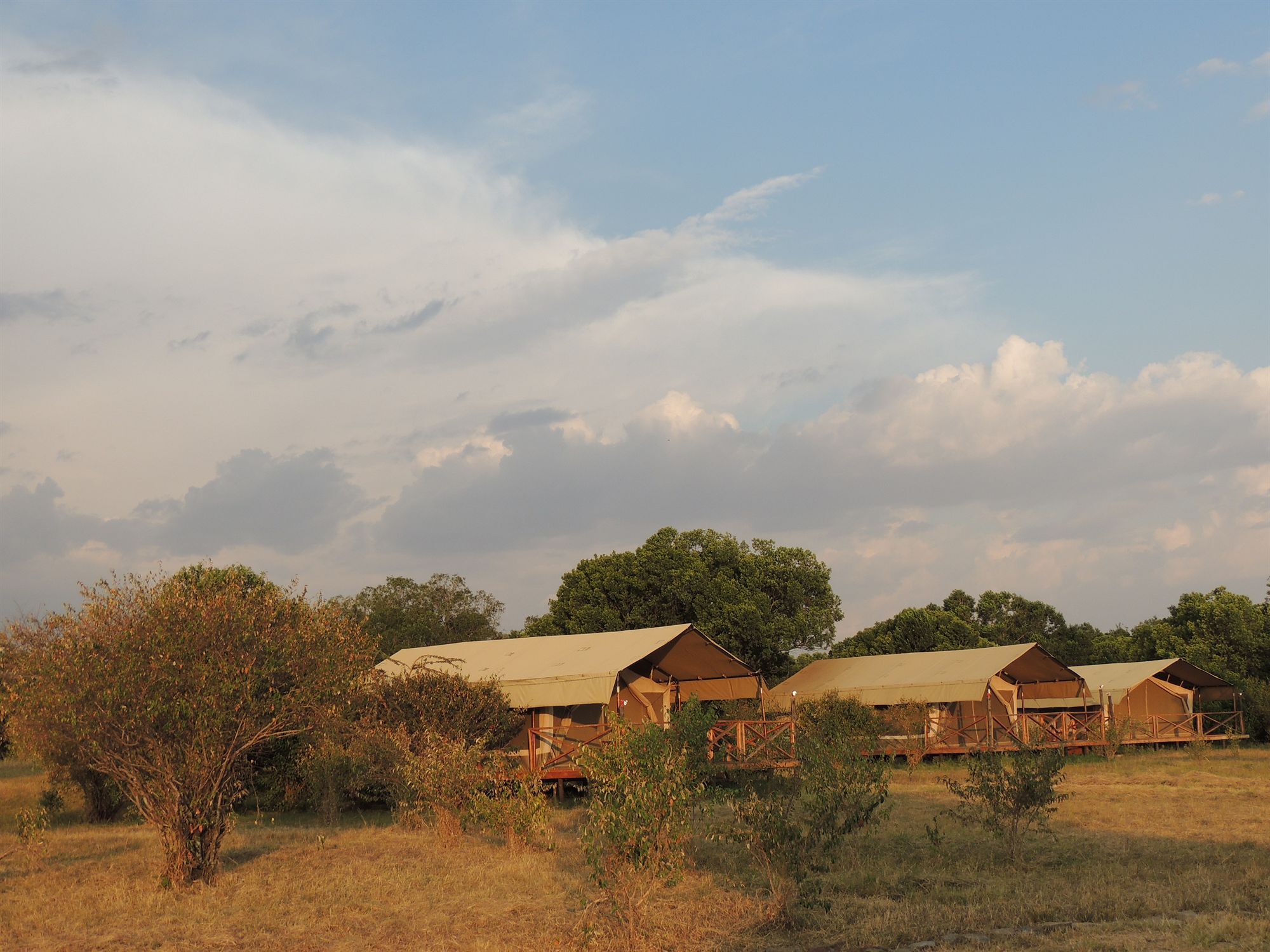 Loyk Mara Luxury Camp Hotell Maasai Mara Exteriör bild