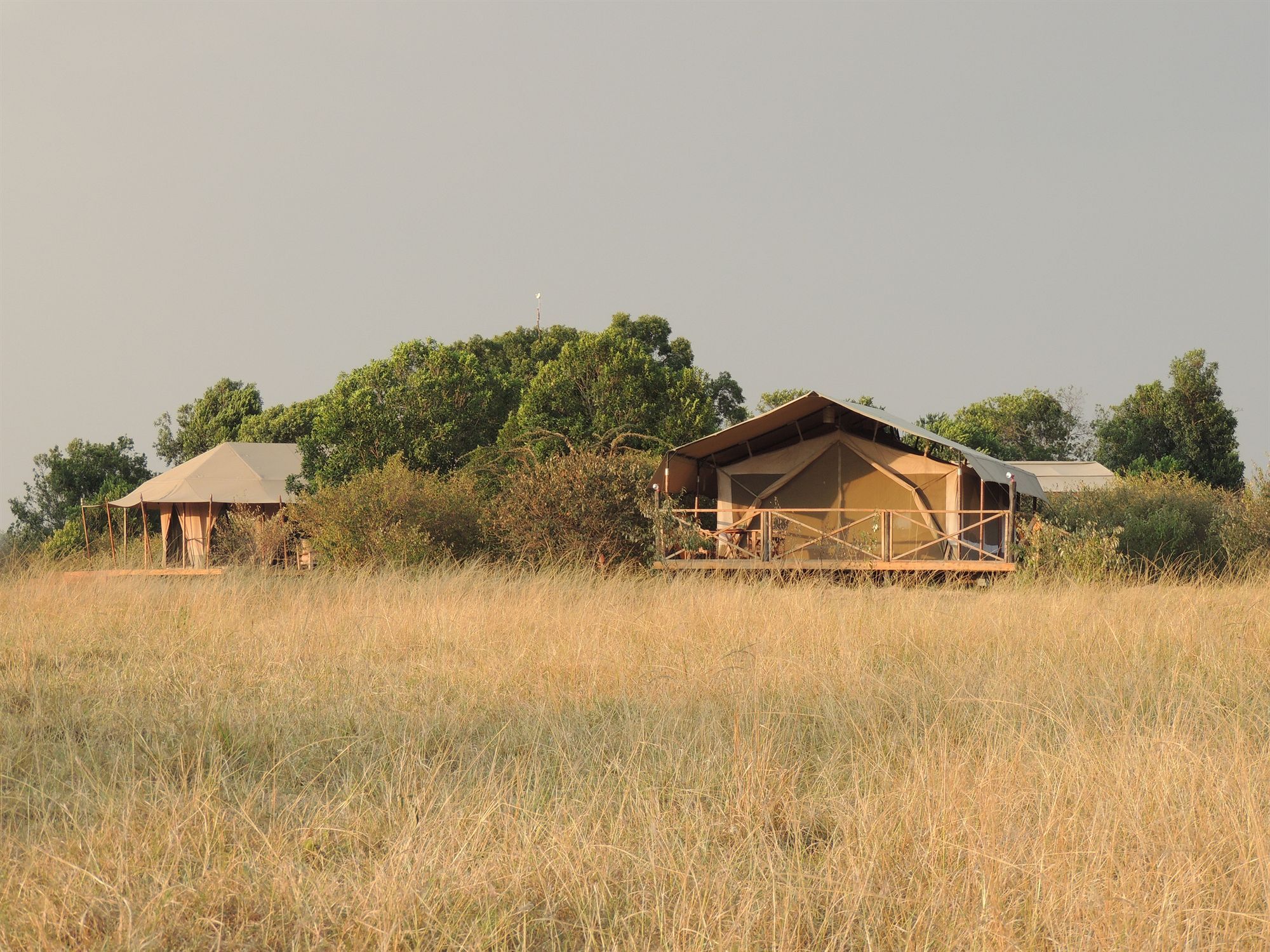 Loyk Mara Luxury Camp Hotell Maasai Mara Exteriör bild