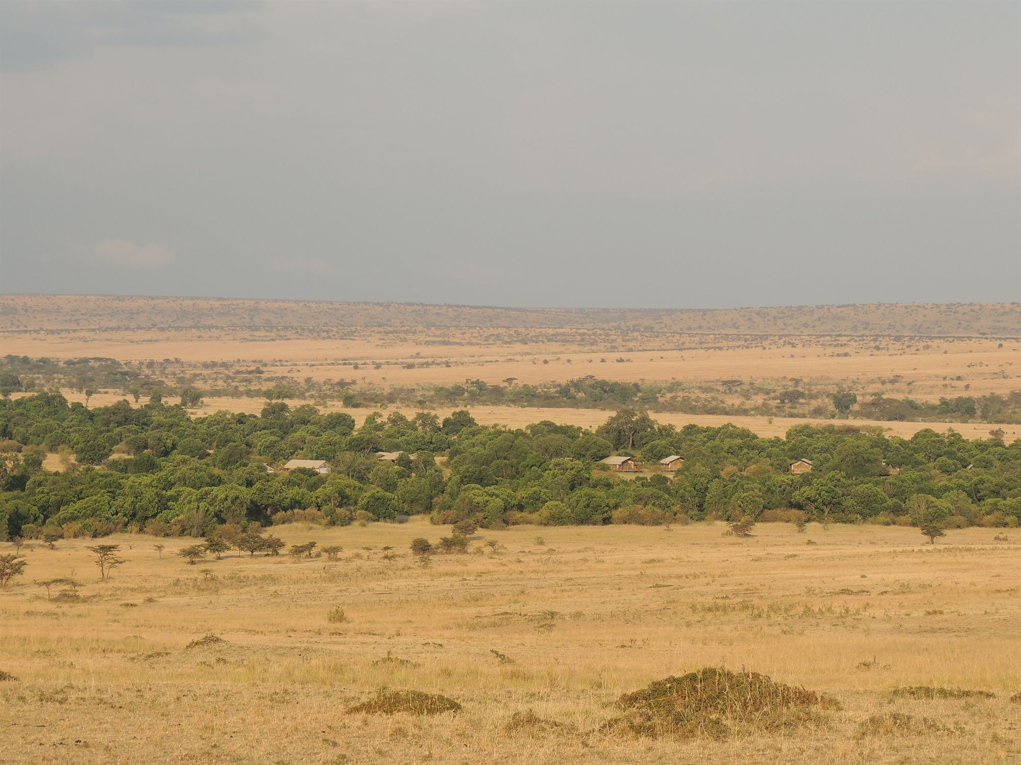 Loyk Mara Luxury Camp Hotell Maasai Mara Exteriör bild